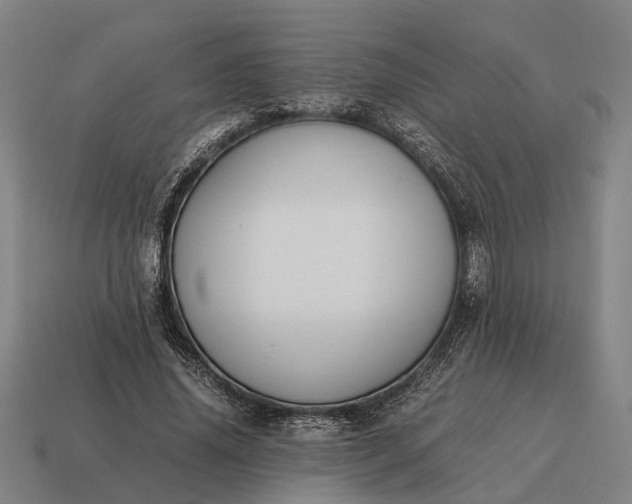 X0000115100636200911101545
