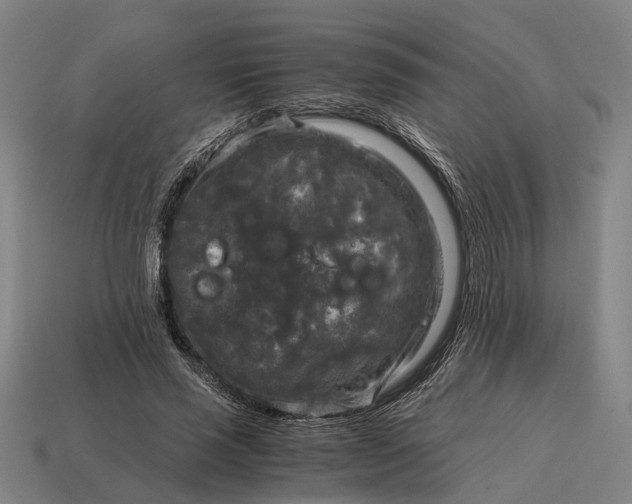 X0000115100637200911101545