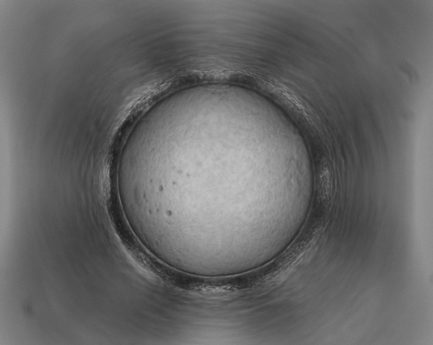 X0000115100638200911101545