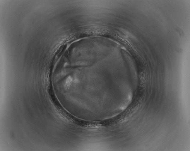 X0000115100642200911101545