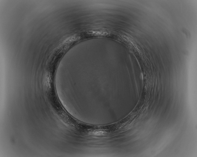 X0000115100643200911101545