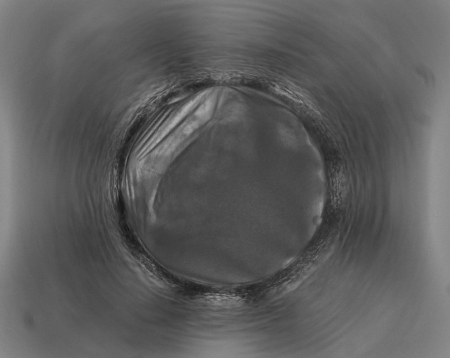 X0000115100644200911101545