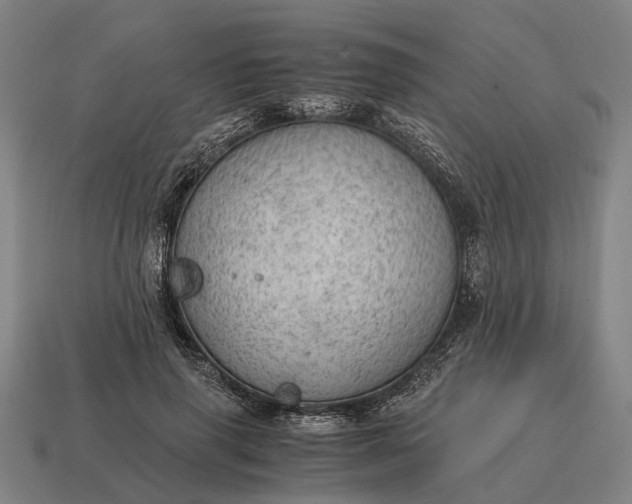 X0000115100645200911101545