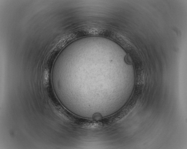 X0000115100646200911101545