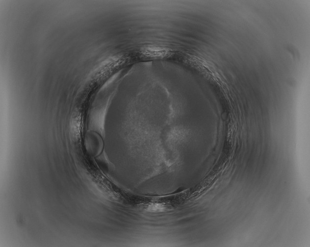 X0000115100647200911101545