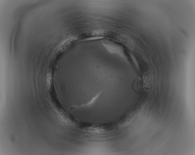 X0000115100648200911101545