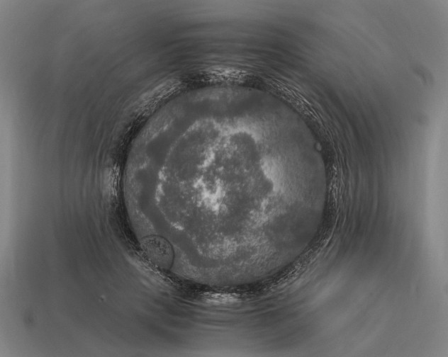 X0000115100649200911101545