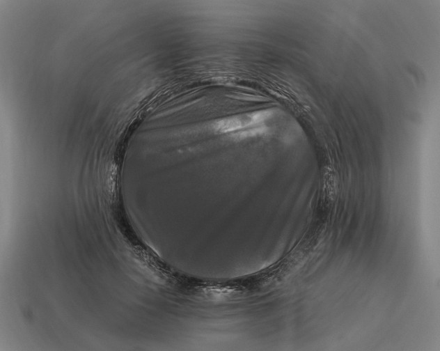 X0000115100650200911101545