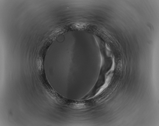 X0000115100651200911101545