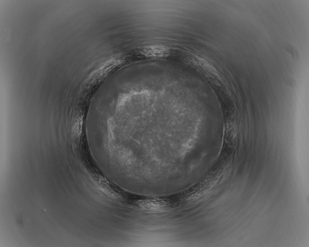 X0000115100652200911101545