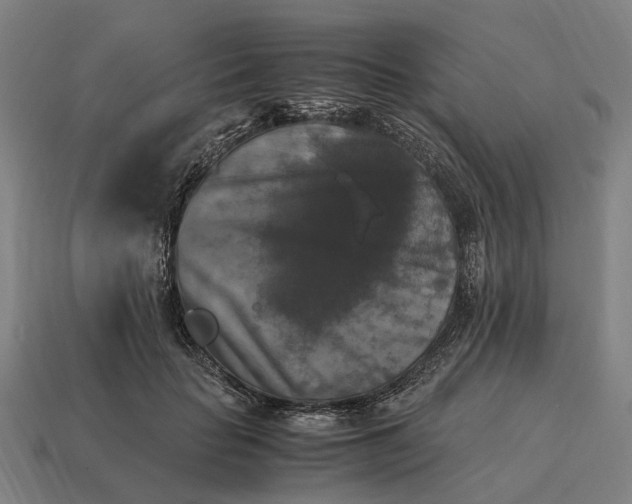 X0000115100653200911101545