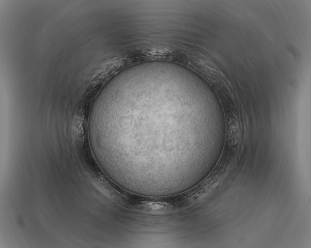 X0000115100654200911101545