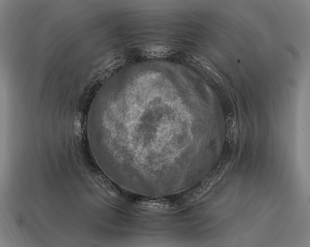 X0000115100655200911101545