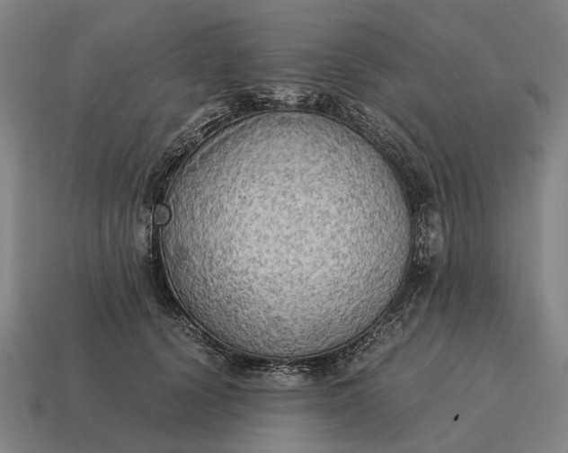 X0000115100656200911101545