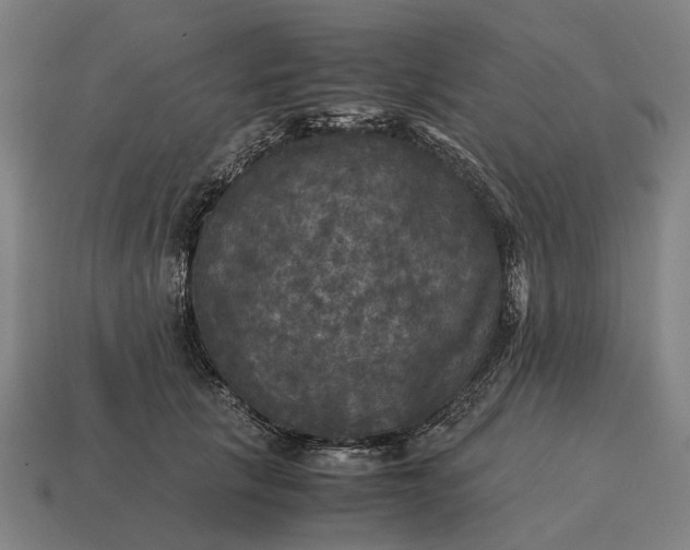 X0000115100657200911101545