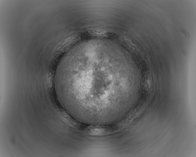 X0000115100658200911101545