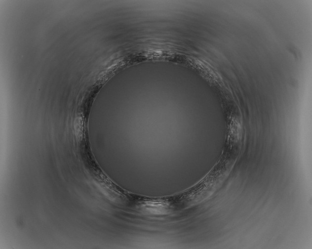 X0000115100659200911101545