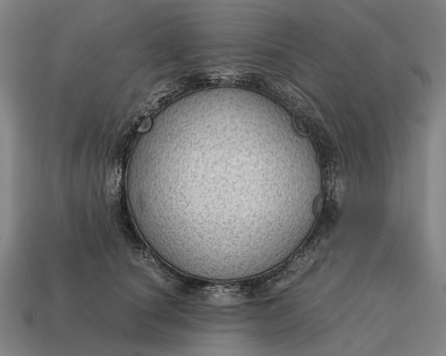 X0000115100660200911101545