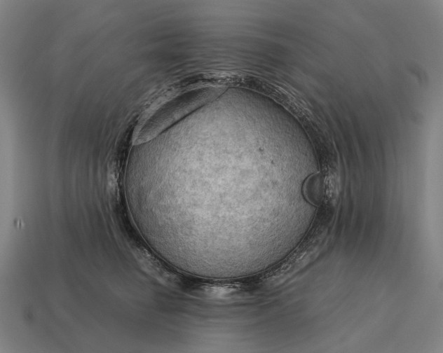 X0000115100662200911101545