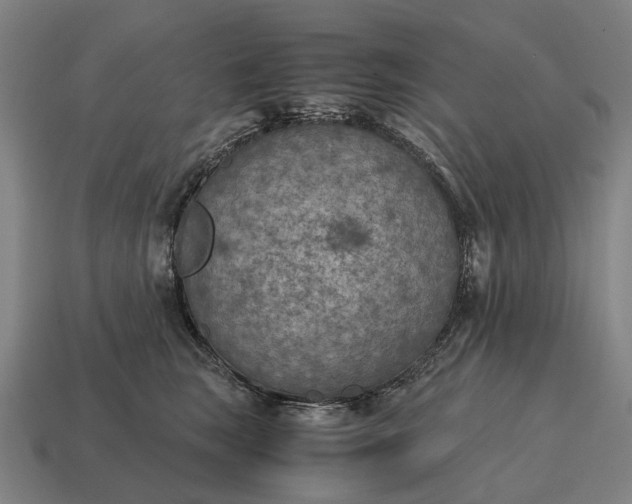 X0000115100663200911101545