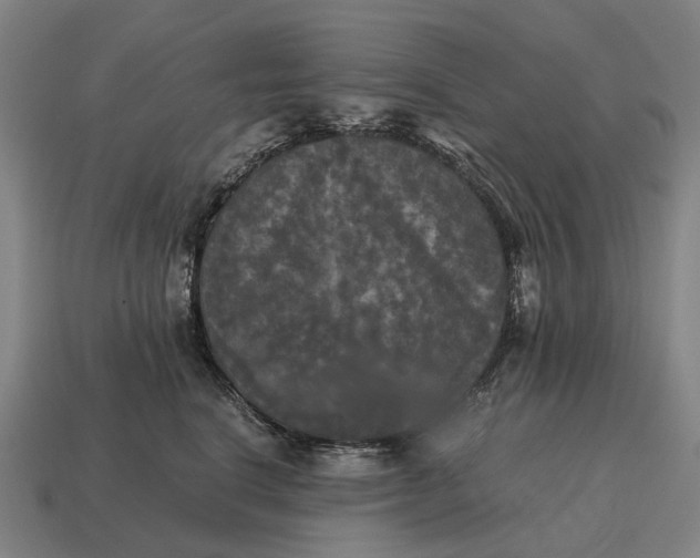 X0000115100664200911101545