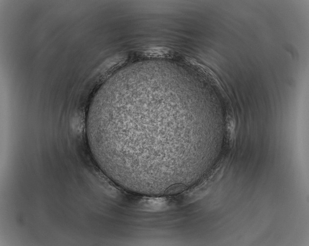 X0000115100665200911101546