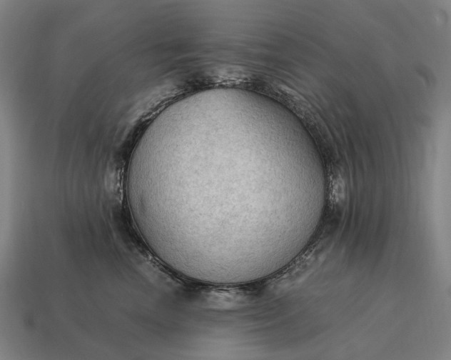 X0000115100666200911101546