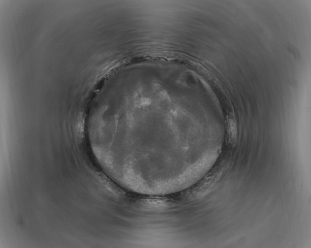 X0000115100668200911101546