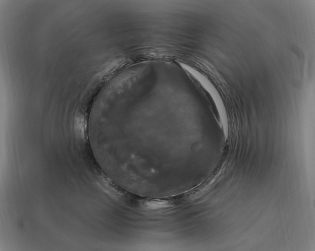 X0000115100669200911101546