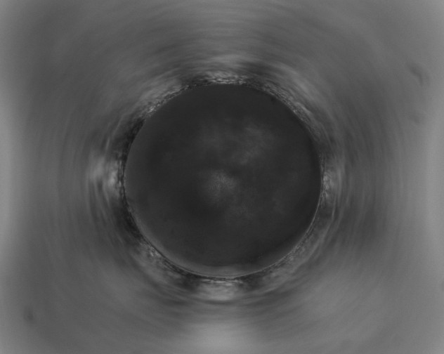 X0000115100671200911101546