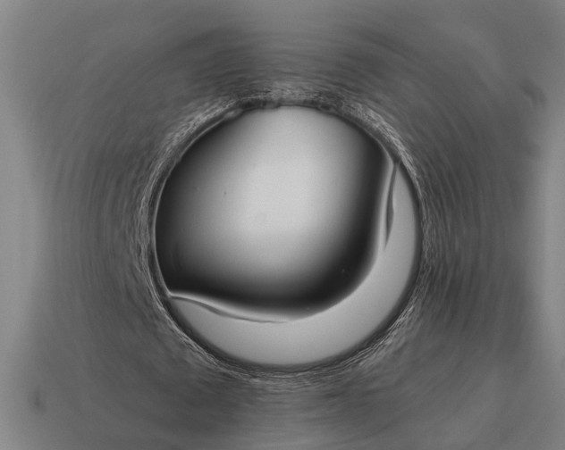 X0000115100673200911101545