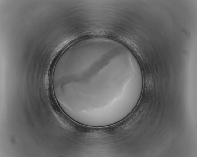 X0000115100674200911101545