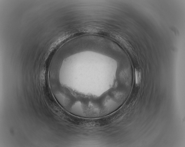 X0000115100675200911101545