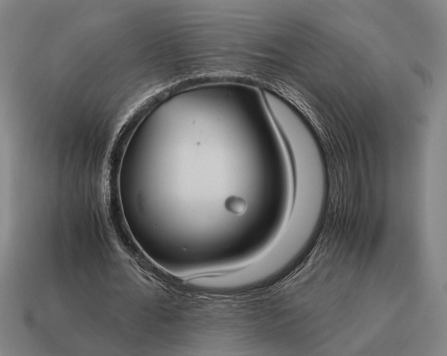 X0000115100676200911101545