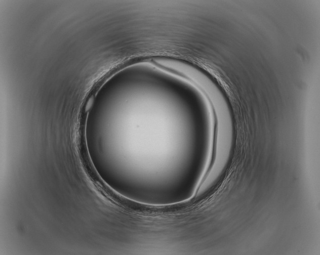 X0000115100677200911101545