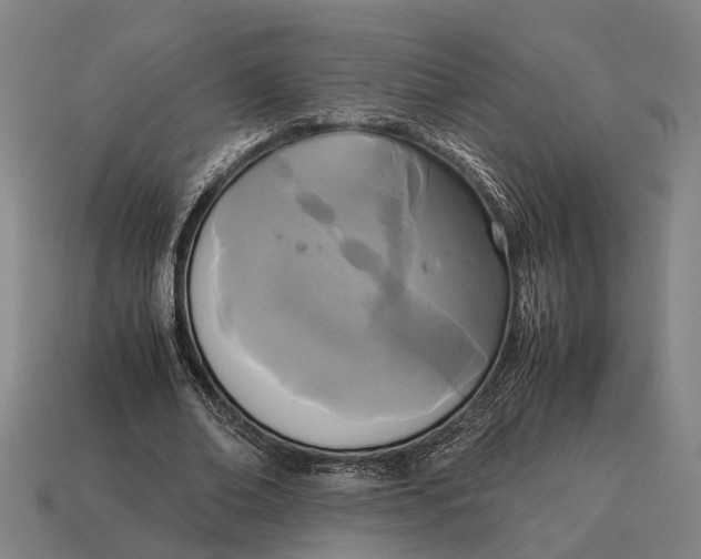 X0000115100678200911101545