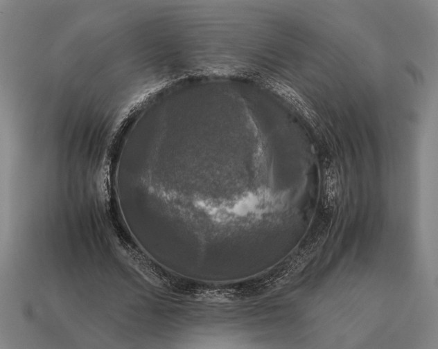 X0000115100680200911101545
