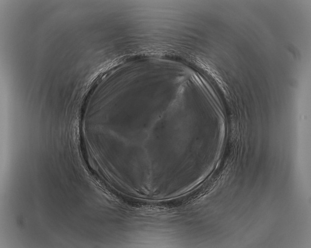 X0000115100681200911101545
