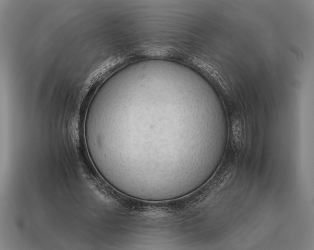 X0000115100682200911101545