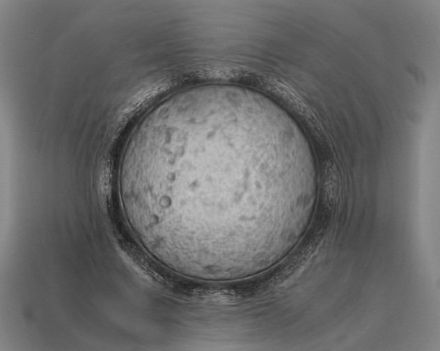 X0000115100683200911101545