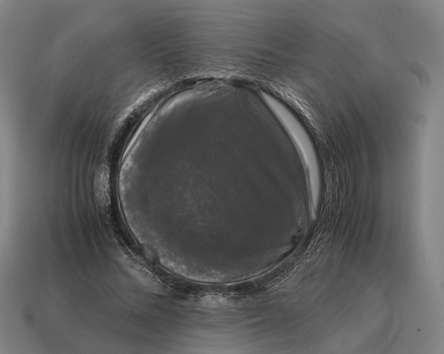 X0000115100684200911101545