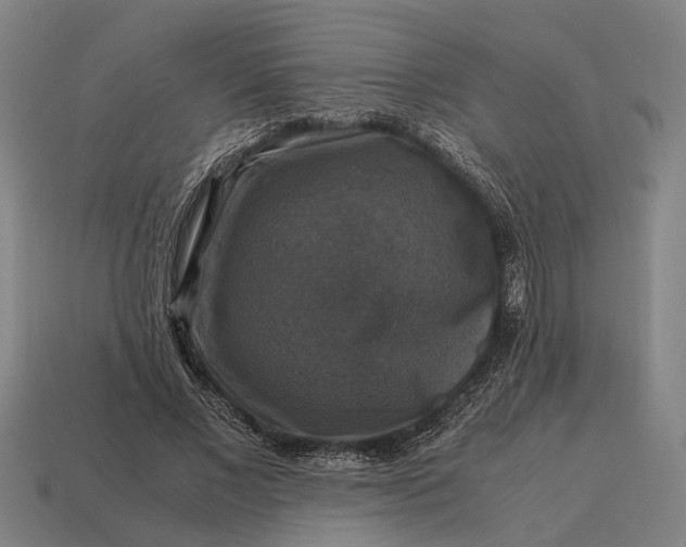 X0000115100685200911101545