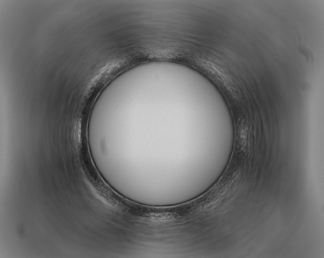 X0000115100686200911101545