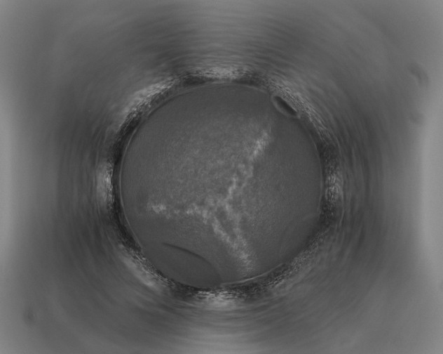 X0000115100688200911101545