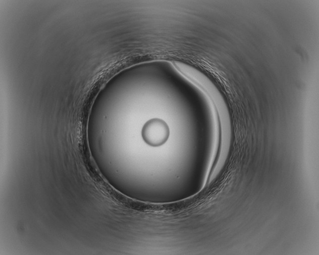 X0000115100689200911101545