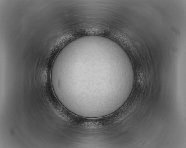 X0000115100690200911101545