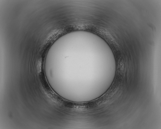 X0000115100694200911101545