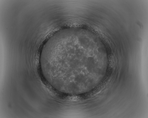 X0000115100695200911101545