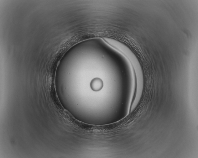 X0000115100697200911101545