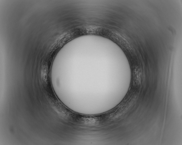 X0000115100698200911101545